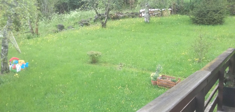 Lumière et nature dans un chalet douillet